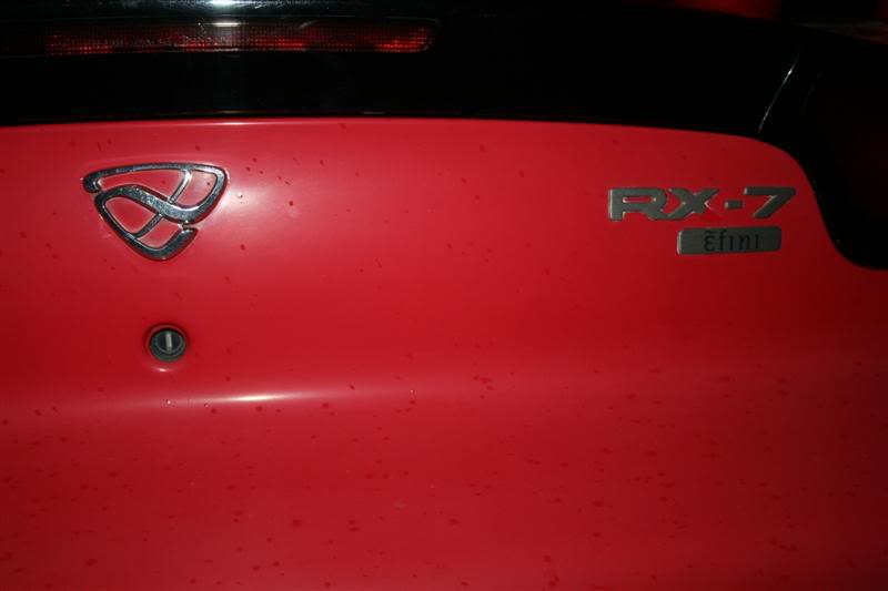 Name:  IMG_2335Medium.jpg
Views: 30
Size:  20.0 KB