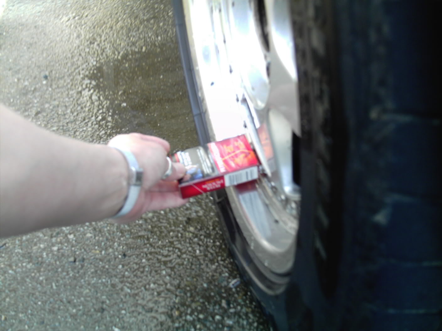 Name:  SMDC0052.jpg
Views: 18
Size:  118.7 KB