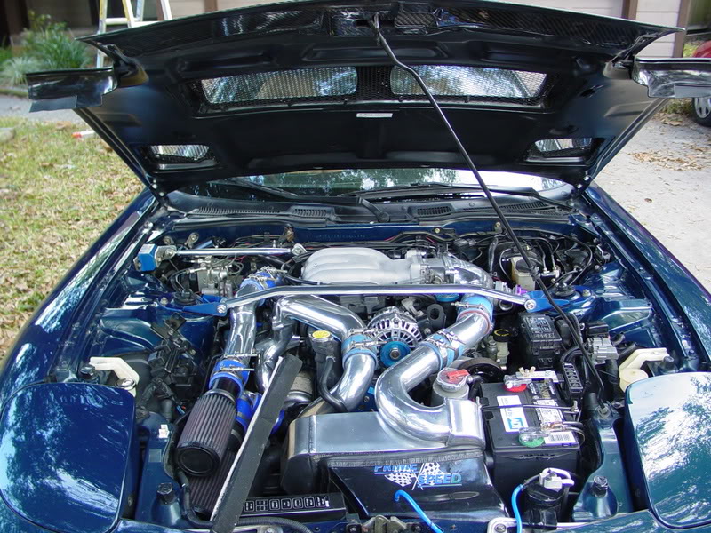 Name: Toms95MBMonster035.jpg
Views: 17
Size: 157.3 KB