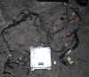 Parts For Sale-ecu___engine_harness.jpg