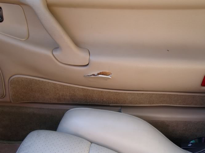 Name:  SNC10355.jpg
Views: 201
Size:  26.7 KB