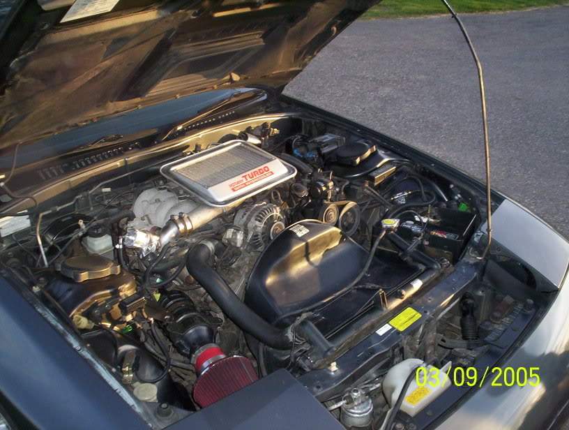 Name:  JessicasPictures1909.jpg
Views: 84
Size:  105.9 KB