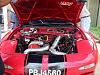 Filter In Place-rx3.jpg