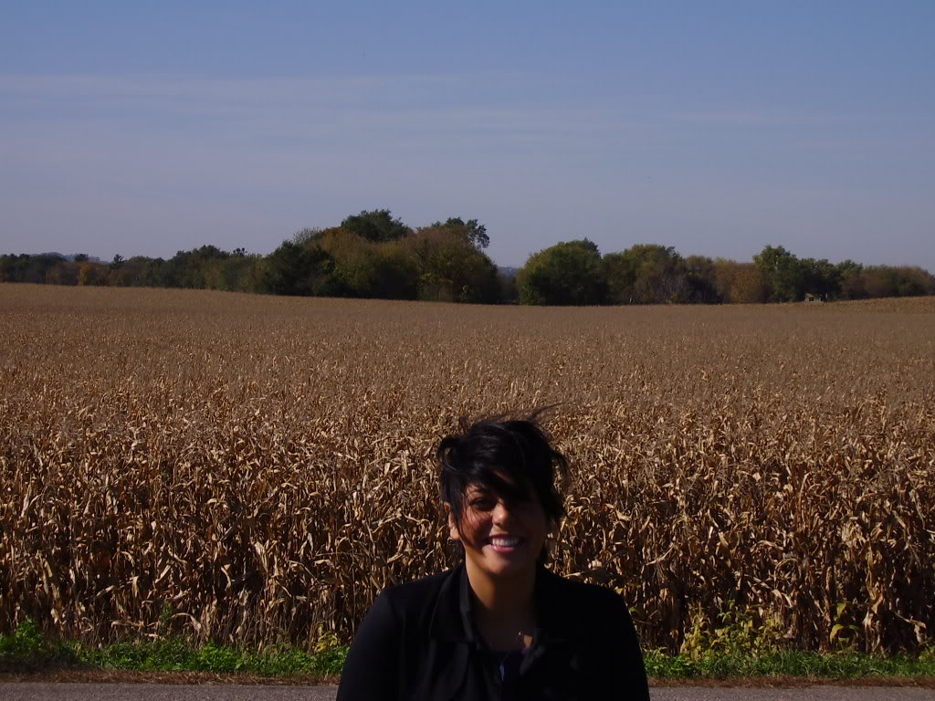 Name:  PA100563.jpg
Views: 653
Size:  161.4 KB