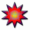 Test NP Project Logo 1-idiot.gif