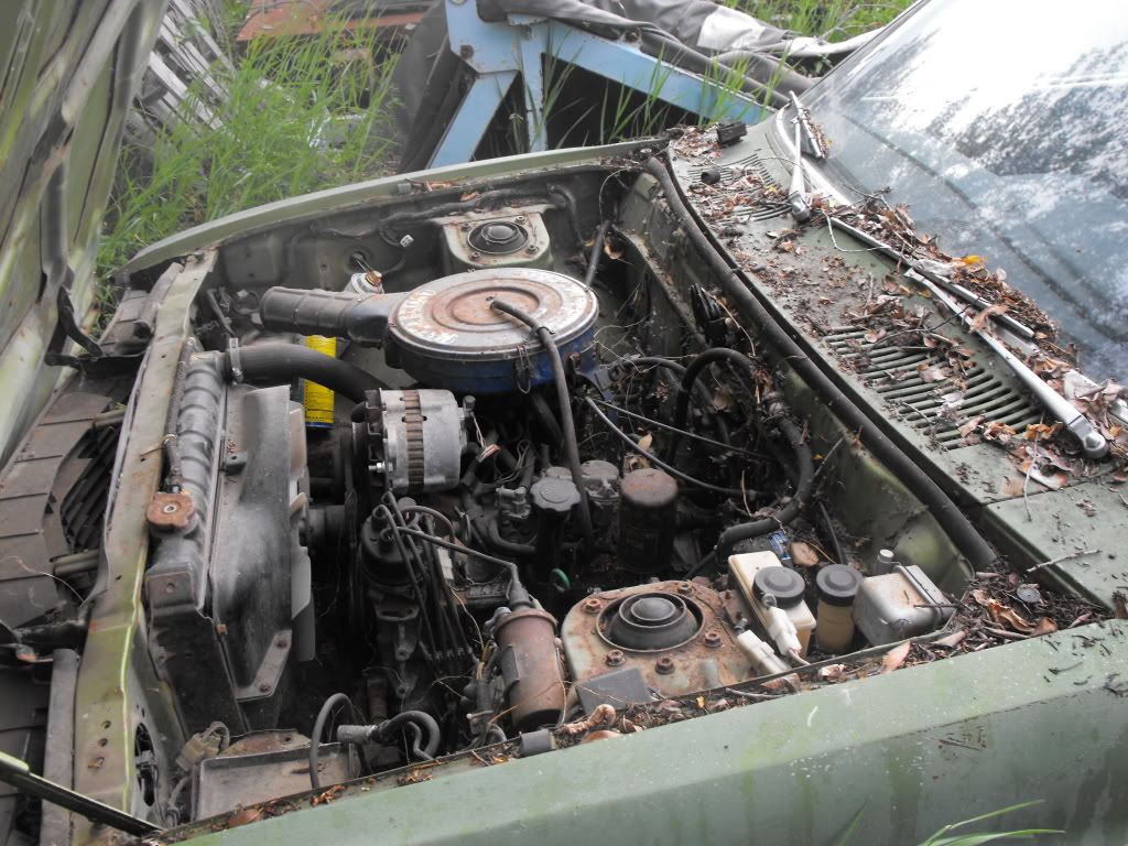 Name:  DSCF0708.jpg
Views: 187
Size:  192.5 KB