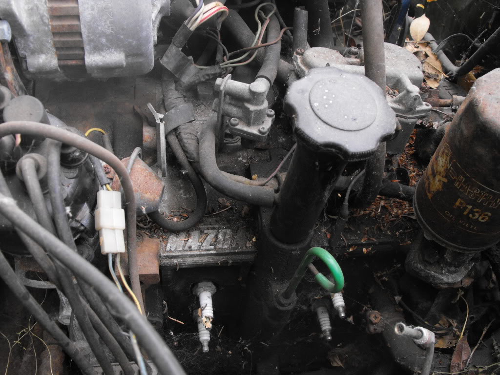 Name:  DSCF0709.jpg
Views: 225
Size:  164.8 KB