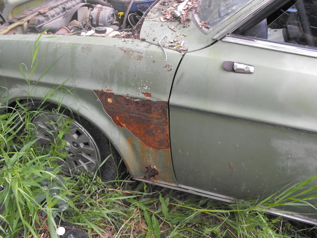 Name:  DSCF0710.jpg
Views: 222
Size:  188.1 KB