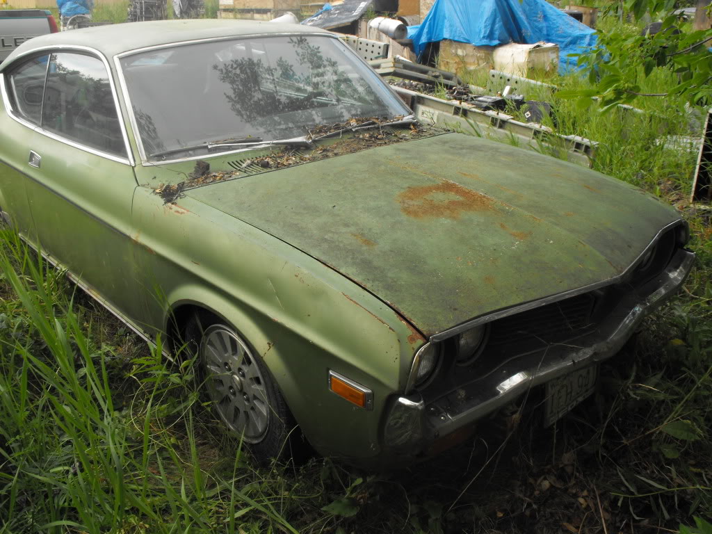 Name:  DSCF0706.jpg
Views: 209
Size:  178.6 KB