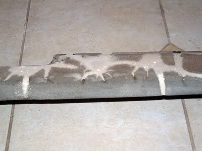 Name: sanded3.jpg
Views: 123
Size: 20.6 KB
